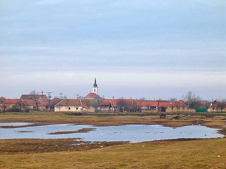 Karlovačke jamure II ...