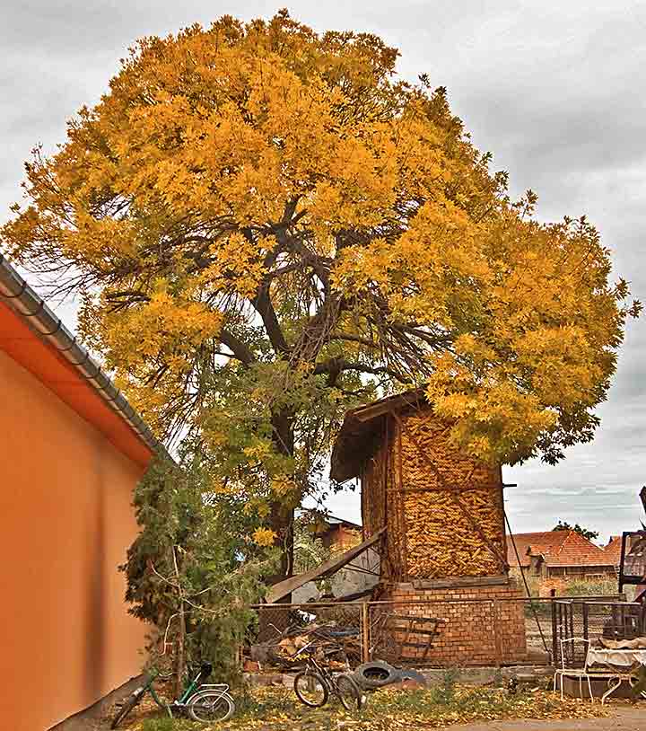 Visoko..., doNeba... i još višlje !