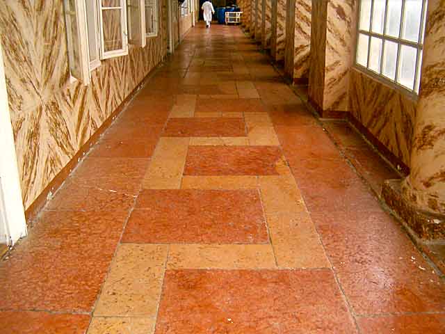 Najstariji fosil u NM, a i šire...