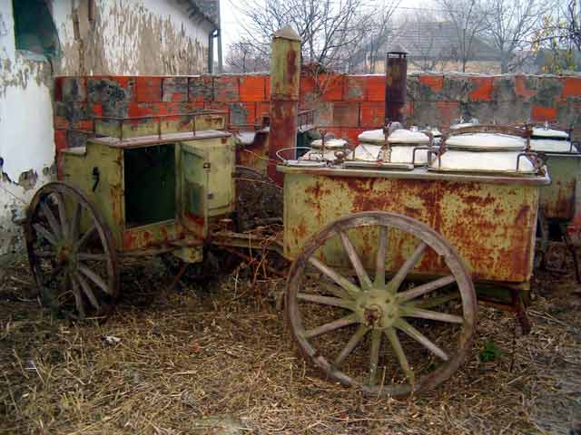 Partizani(ovci) IV...