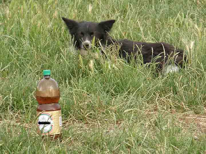 Re: Pametne kere novoMiloševačke ..