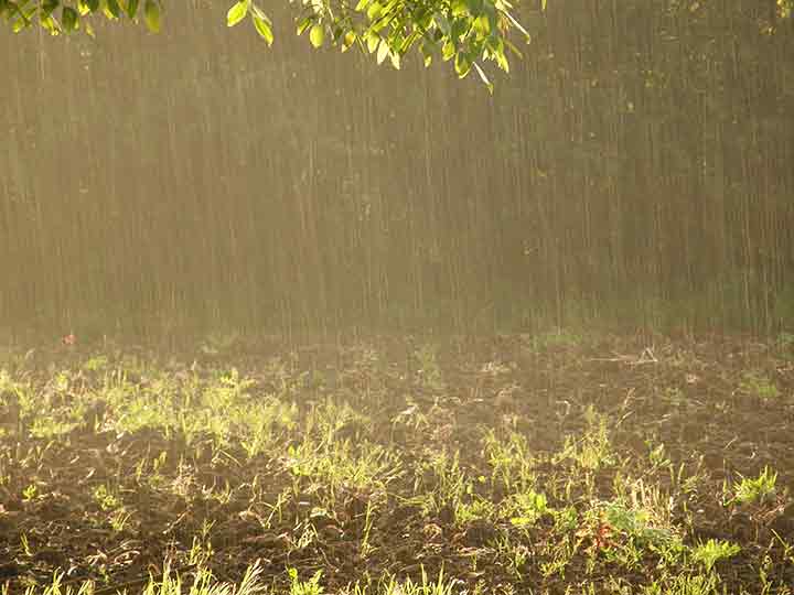 Pada kiša i sija Sunce ...