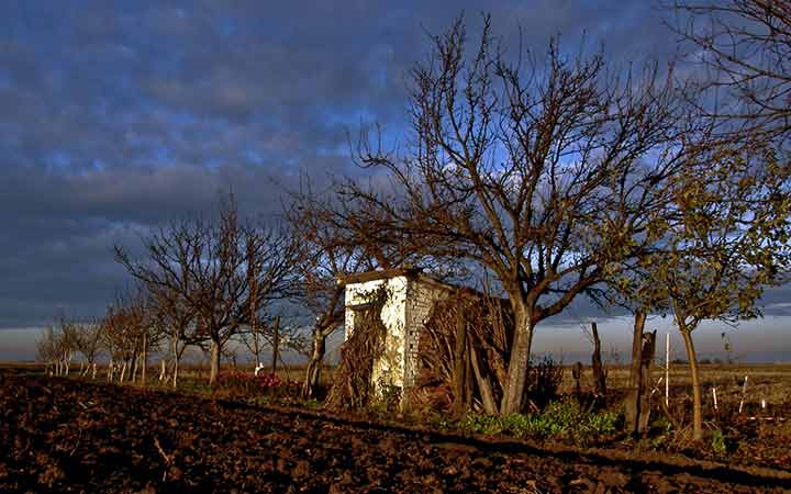 ZaZimljena koleba ...