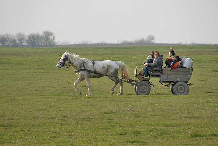 Nas baš briga, pošto je gorivo ...