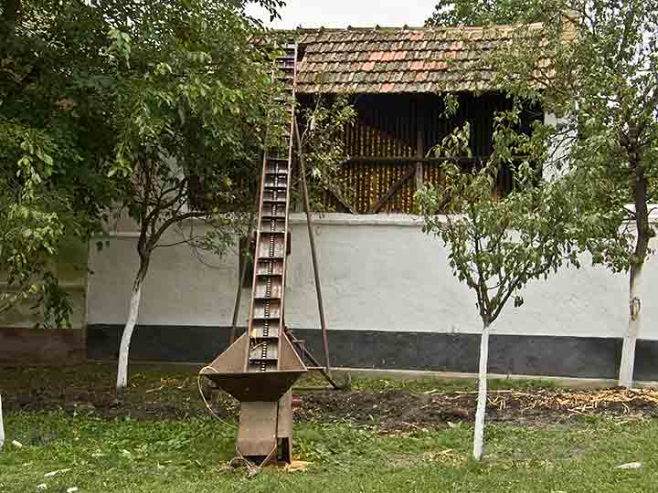 Kotarke se punidu sas kukuruzom ...