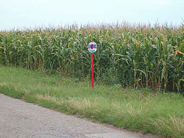 NovoMiloševačke poruke...