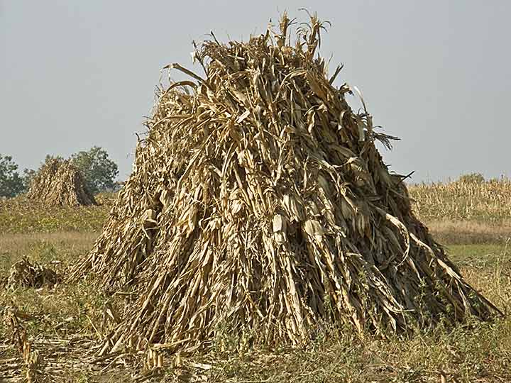 Cena gasa je skoro duplo skočila !