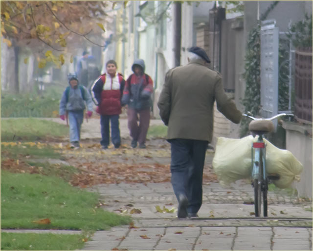 Kupus i svinji u recitaciju...