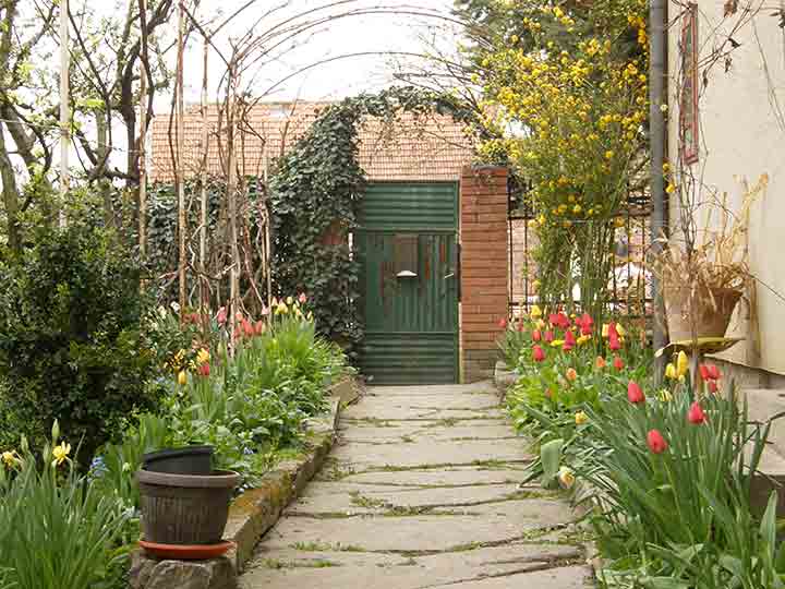 Lale su prave cvećke ...