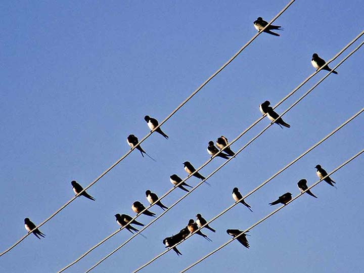 I laste se spremadu da odLetidu ...