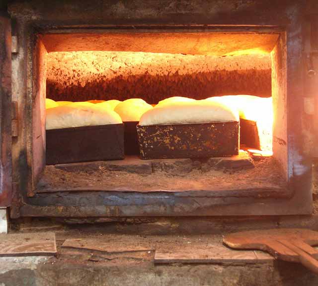 Vruće lepinje, zajtra...