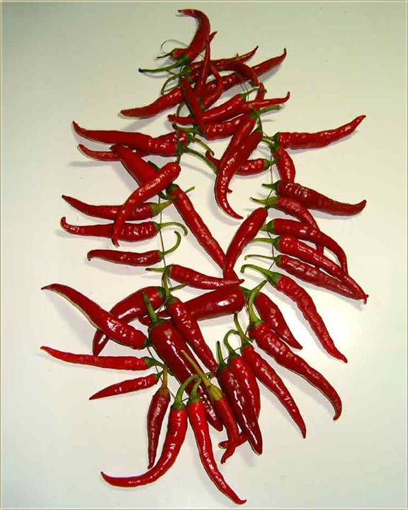 Ljute papričice...