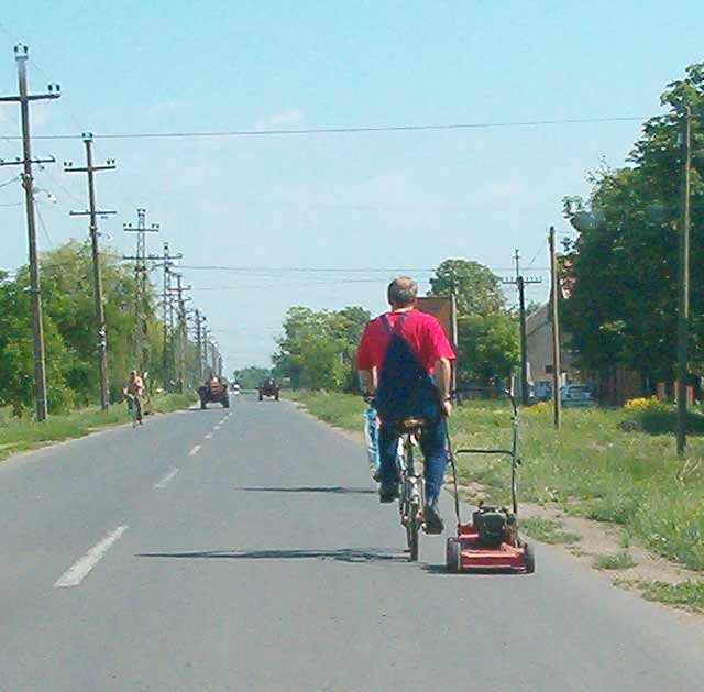 Kosačice za travu...