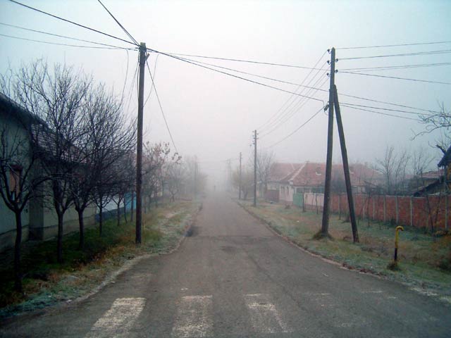 Partizani(ovci) I...