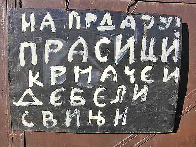 Bijo gladan, pa proguto slovo...