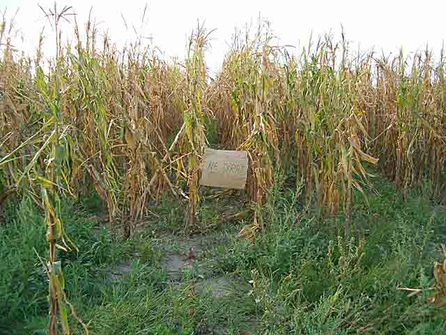 Oštro upozorenje...