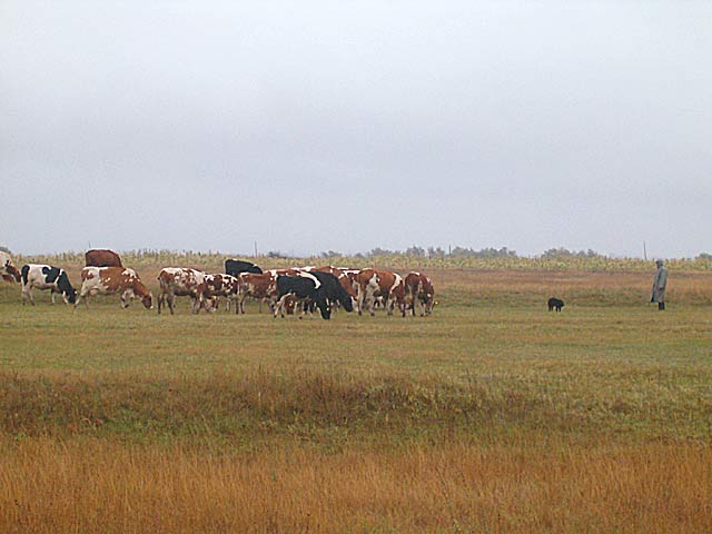 Ladan početak sektembera II...