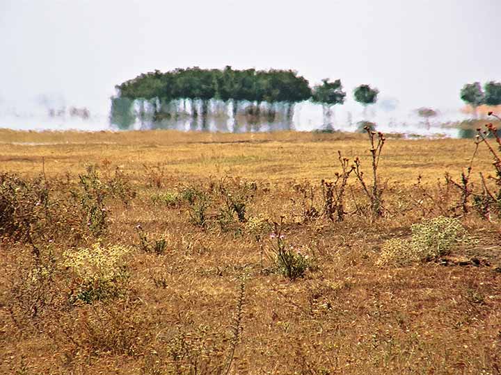 NM fatamorgana uAtar...