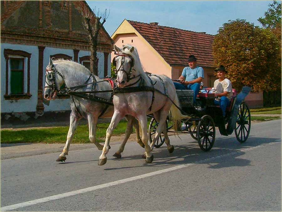Juridu..., a neŽuridu...