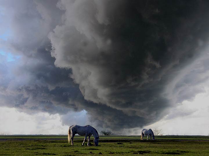 Ko to neće da spava ?