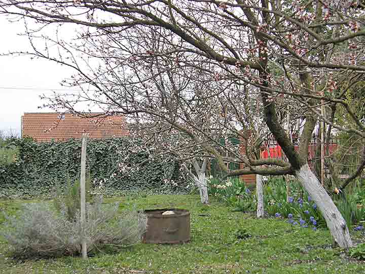 Dimovi protivu mrazova...