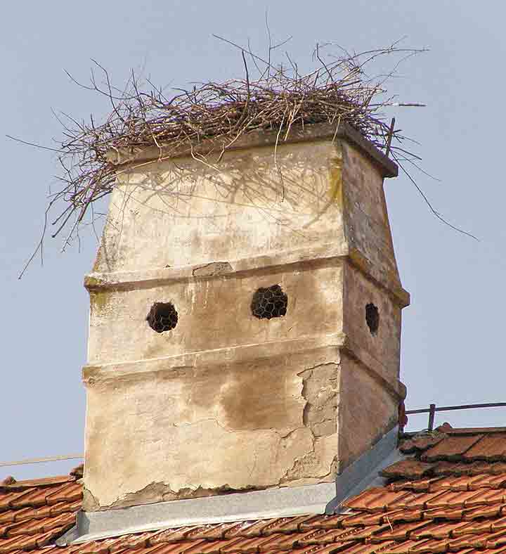 Čeka se proleće ...