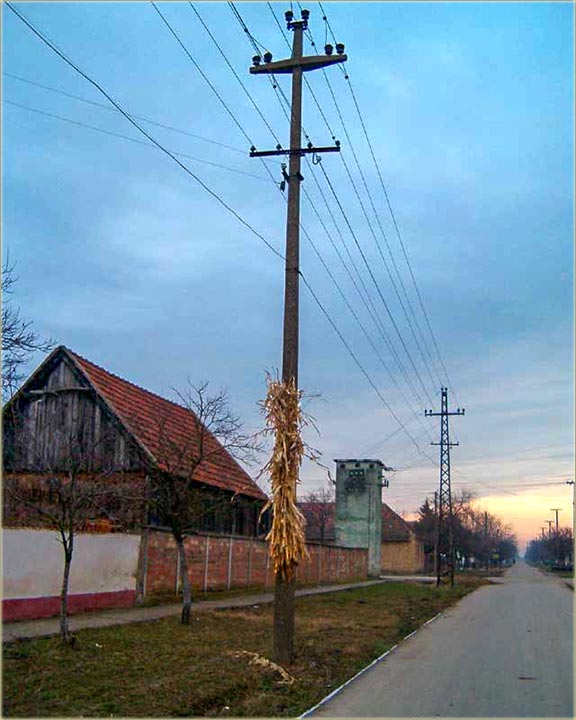 NovoMiloševački mali oglasi III...