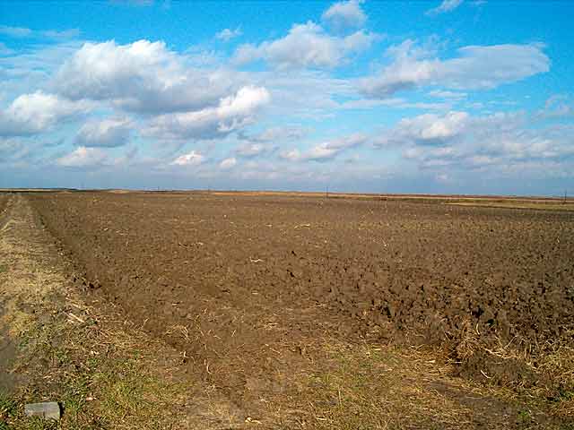 Jesenjo oranje 2006-te...