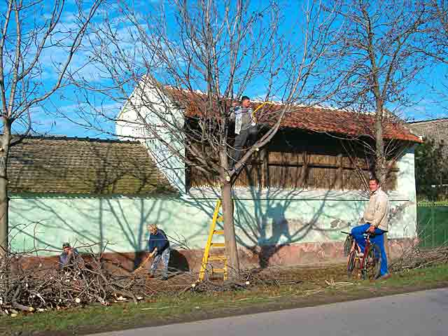 Kav da je proleće...