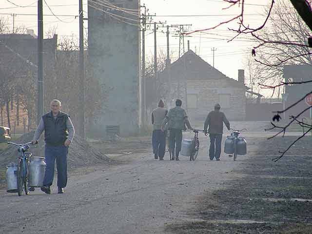 Otkup mleka poStarom...