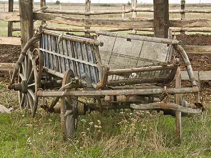 Kako Lala najgadnije pcuje ?