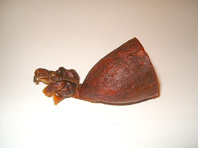 Majstori i šegrti...