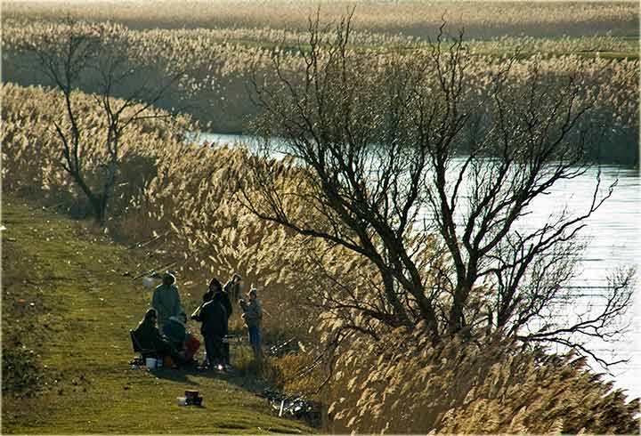Ko su veći prostuli ?