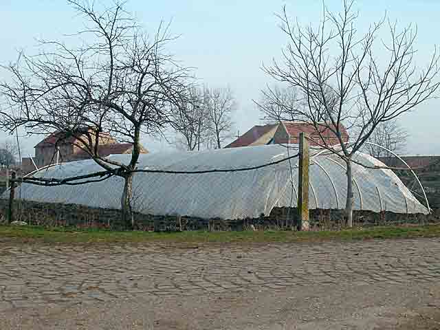 Postavljadu se plastenici...