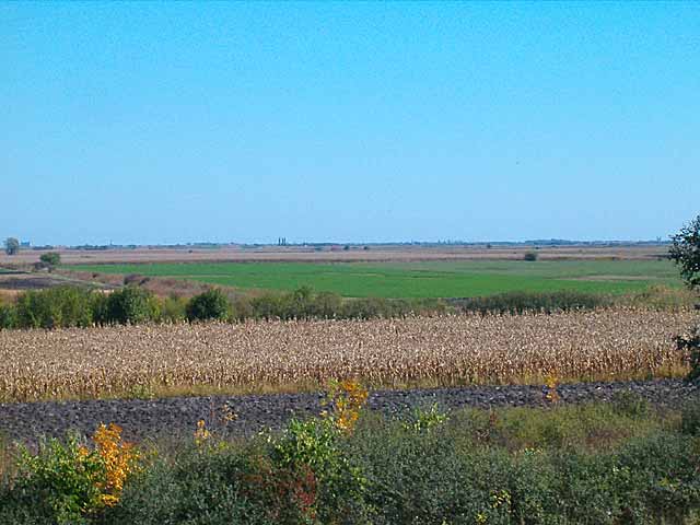 Pogled izDalje na NM - Tisa...