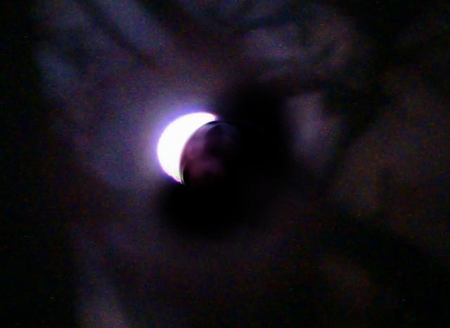 Samo u toku jedne noći...