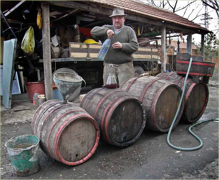 I stelja uDara uGlavu...