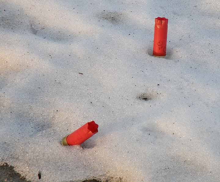 Metkovi izPucani, a ulova nema...