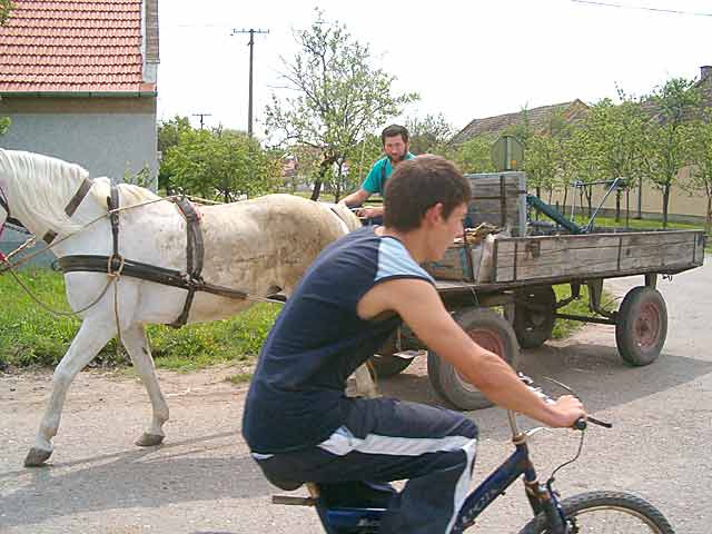 Al bi ovo bila slika...