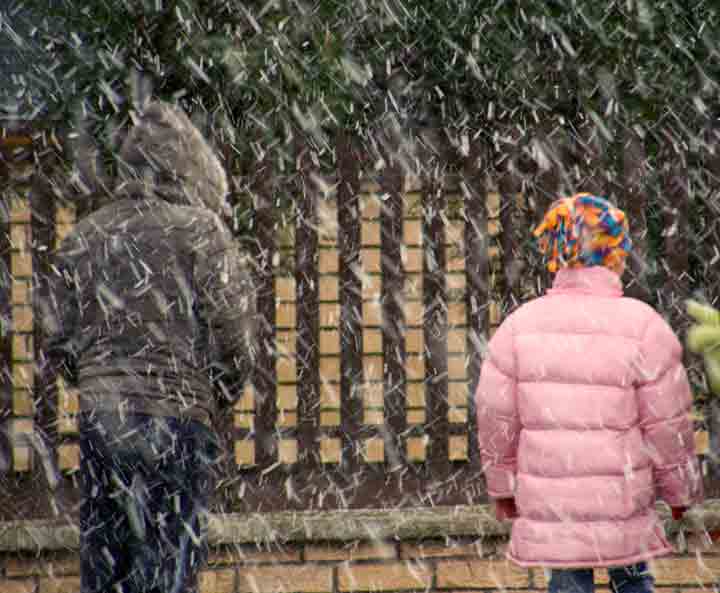 Prvi sneg 2008/2009-te ...