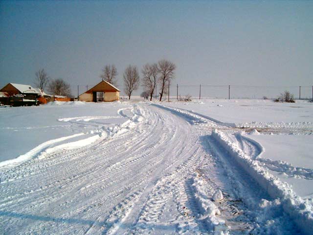 Prvi vašar 2005-te...