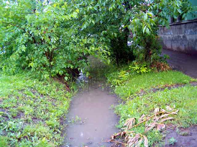 Kiše, kiše, kiše...