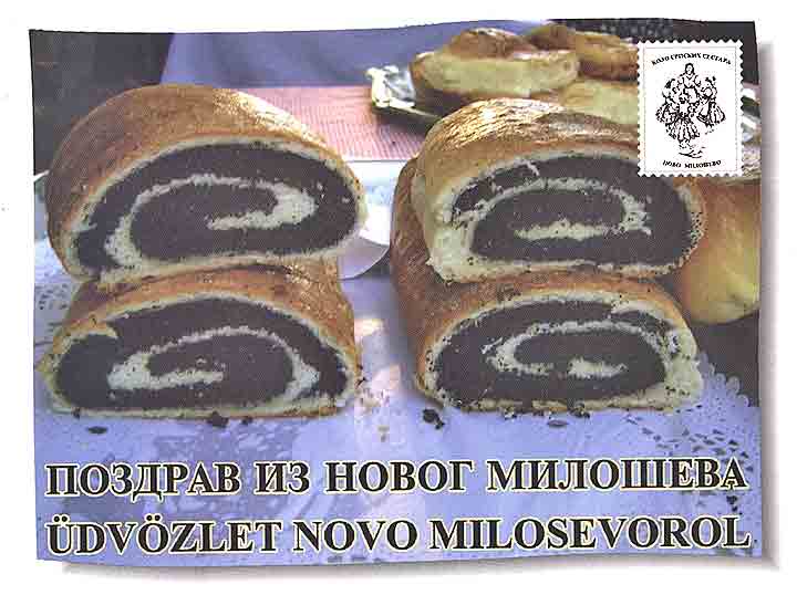 Pripreme za Gibinicijadu 2008-me...