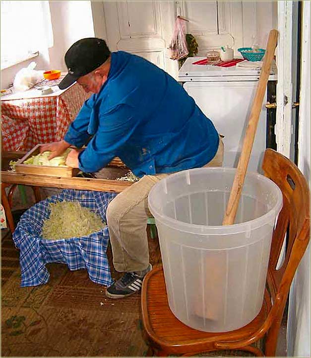 Rezanje kupusa II...