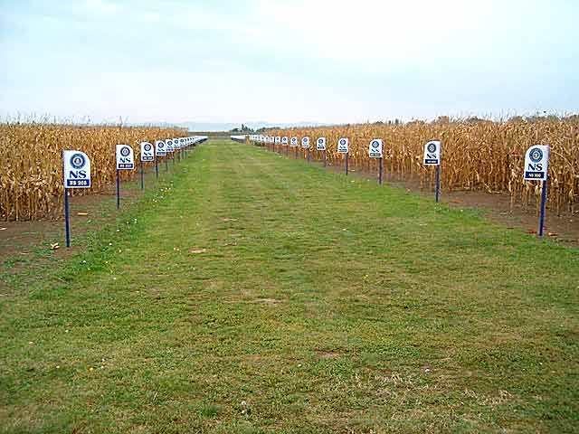 Kako mu padne naUm takvo šta?