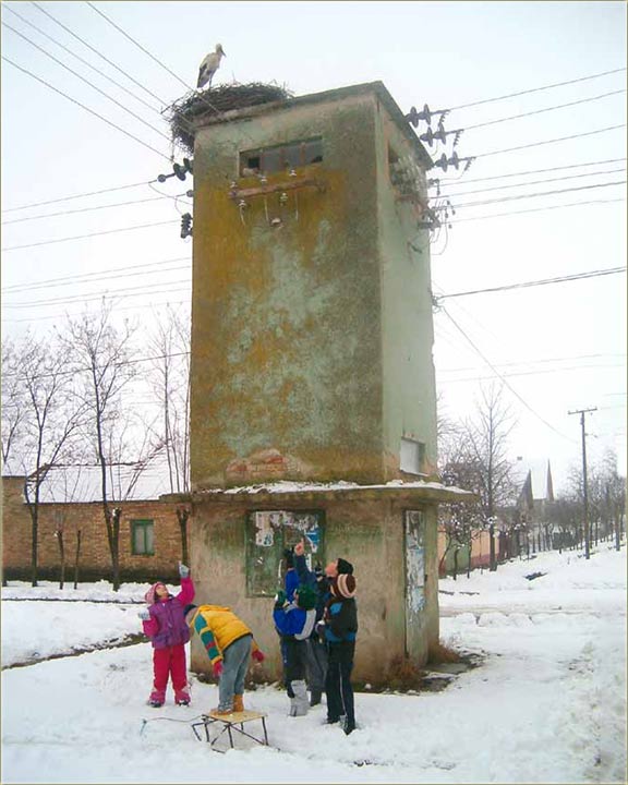 Prvi sneg, a roda doletila...