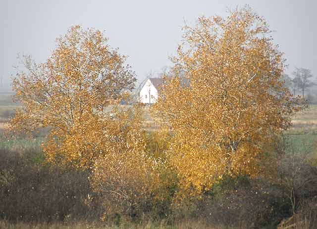 Breze uJesen, a uAtar...