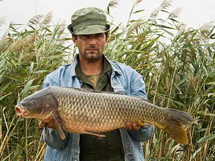 Jesenji NM Šaran maraton 2008-me...