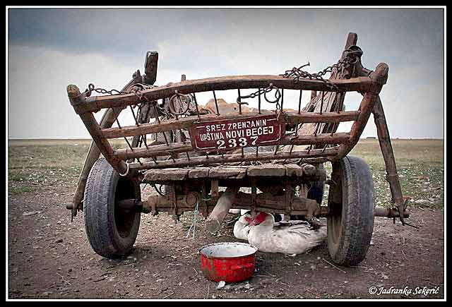 Ajde pomozi nam Sveti...