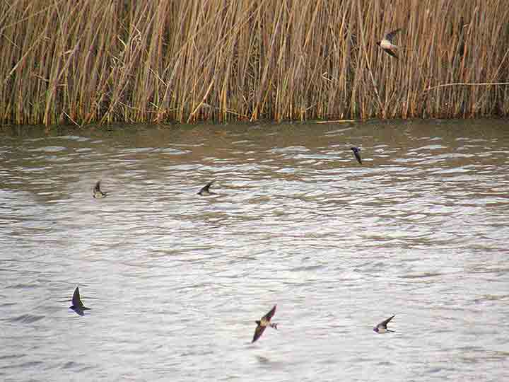 Stigle su nam laste !!!